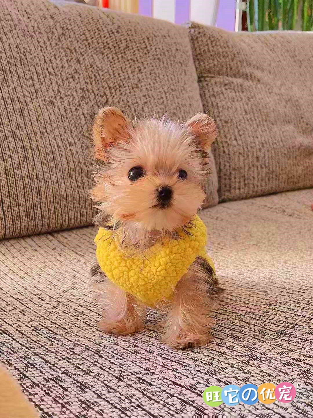 哈希娱乐- 哈希游戏平台- 哈希游戏官方网站通用磨坊的“断舍离”：蓝挚中国败退背后的三重“不可抗力”