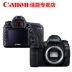 Canon Canon 5D4 một thân máy EOS 5D Mark IV 5DIV Máy ảnh DSLR màn hình cảm ứng Máy ảnh 4K - SLR kỹ thuật số chuyên nghiệp máy ảnh cơ SLR kỹ thuật số chuyên nghiệp