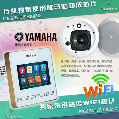 Teana Tl86hw C F Bluetooth Digital Port Music Music Music Music Music JBL Dower Set ㊣ Подличная лицензия