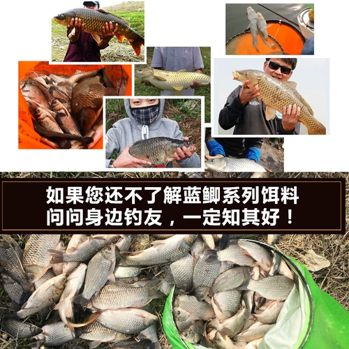 Dragon King Hate Field Field Blue Crucular Обновляемая версия Siangye Sloves весеннее и летнее сезон.