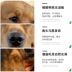 Thức ăn cho chó Úc và Mỹ số lượng lớn mục đích chung 5 kg Teddy Golden Mao Samoyed VIP chó nhỏ và vừa cỡ lớn thức ăn cho chó trưởng thành thức ăn cho chó royal canin Gói Singular