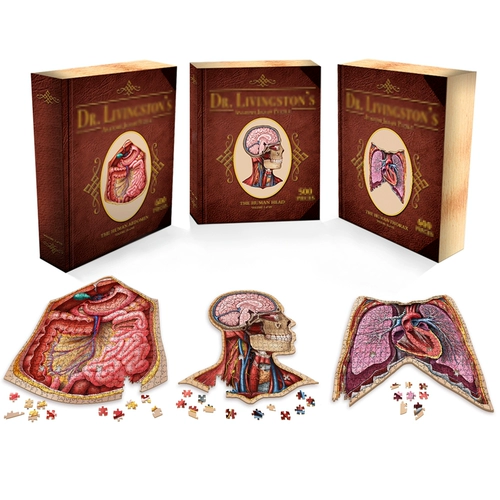 Человеческая анатомия головоломка Джонс Хопкинс Университет Медицинский иллюстрация Художник рисует анатомию человека