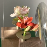 Maisondada французские круглые линзы геометрическая базовая ваза нарцисс домашние цветочные украшения декоративные украшения