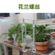 HUA ORCHID VINT/ONE