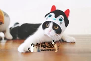 Nhà mèo nước sốt petio piedi biến đổi trang phục mèo cosplay nhiếp ảnh trang phục mũ nón thú cưng - Quần áo & phụ kiện thú cưng