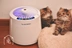 Nước sốt mèo Nhà máy lọc không khí Pet Máy giặt Nhật Bản tiệt trùng mèo nhà AIR MEDIC Baoshun Máy lọc không khí