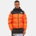 The North Face North 1996 NUPTSE Màu cam bạo lực Ngụy trang Màu đen Vàng TNF Áo khoác xuống - Thể thao xuống áo khoác 228 ₫ Thể thao xuống áo khoác