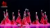 Phong cách Xiaohe lần thứ 8 nở hoa múa khiêu vũ thiểu số trang phục biểu diễn quần áo trẻ em Tân Cương trang phục khiêu vũ - Trang phục