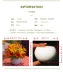 Bình gốm vuông nhỏ hoa giả trưng bày trong chậu nhựa mô phỏng hoa bán buôn nhà bonsai hoa nụ trang trí hoa - Hoa nhân tạo / Cây / Trái cây Hoa nhân tạo / Cây / Trái cây