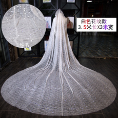 Фата 抖音同款新款超长拖尾韩式新娘结婚婚纱头饰超仙闪闪亮片头纱