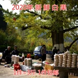 В этом году Синь Го 2023 СВЕЙ и Лао Шу Шенг Золото