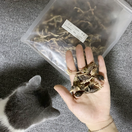 Бесплатная доставка для употребления замороженных кошек высушенные перепелы закуски для кошки сырая кость, замороженное мясо замороженное сушеный мясо пищевой пищевой пищевой пищевой