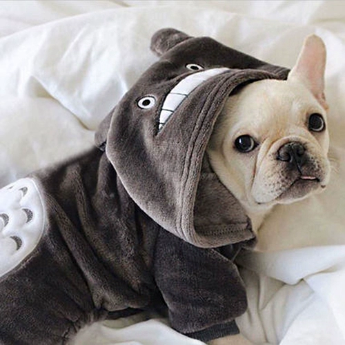 Собачья одежда маленькая в щенках Corgi Fighting Cup Cup Cute Dog милая коррекция PLEL Mirlonless Cat Mao Mao