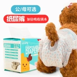 Физиологические штаны собаки Тедди подгузники маленькая домашняя моча не мокнет мужская киска, тетя тетя, менструальная санитарная салфетка Женщина