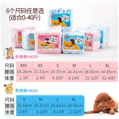 Физиологические штаны для собак, моча, без мокрой суки, мужская собака посвященные подгузники, домашние животные, маленькая менструальная тетя, тетя, защитная плюшевая девушка