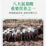 Задачи с зверями. Вся бесплатная доставка Эггин -быстрая вегетарианская собака, кальций, курица, яйца, яйца, свиная овца