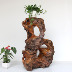 Root khắc khung phòng khách gỗ rắn nghệ thuật tự nhiên gốc cây trong nhà bonsai nhiều lớp long não gỗ trang trí sàn kệ - Các món ăn khao khát gốc bàn ghế bằng rễ cây Các món ăn khao khát gốc