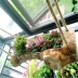 Máng gỗ lọ hoa mọng nước hình cọc gỗ độc đáo bố trí sân vườn ban công sân vườn sáng tạo hộp hoa lớn máng hoa gỗ cũ chậu nhựa treo tường Vase / Bồn hoa & Kệ