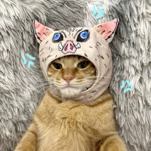 Призрак Drouss Blade Pingyi, Pingyi, помогающий питомцам, котенок, плюшевая шляпа с головой, заправка