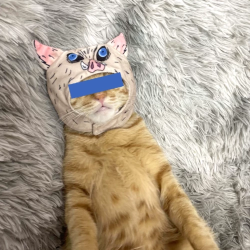 Призрак Drouss Blade Pingyi, Pingyi, помогающий питомцам, котенок, плюшевая шляпа с головой, заправка