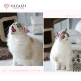 Pet маленькие внутренние брюки Голова с синими и белыми полосками Fat Secondary Cat обеспечивает маленькую собаку милая шляпа