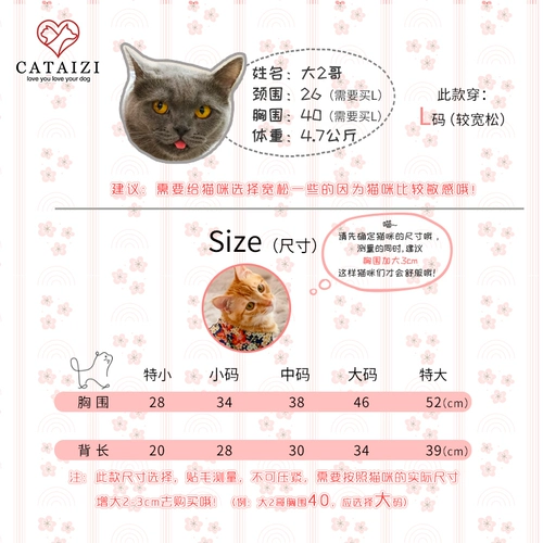 Домашние животные поставляют кошки маленькие собаки осенью и зимним японским стилем вишня цветут милый дом удобный дом и одежда, чтобы сфотографироваться