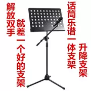 Micro nhạc tấm kim loại khung phổ âm nhạc lớn đứng Guzheng guitar violin nhạc phổ piano - dương cầm