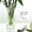 Phòng khách Bắc Âu DIY lớn đồ đạc trong nhà bó hoa đầy sao bình phong cách trang trí chai thủy tinh nhỏ đơn giản - Vase / Bồn hoa & Kệ