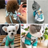 Тяжелая сцепление с котенком, собачья грудь чайная чашка собака супер маленькие щенки ходьба для собак веревка Тедди Йорк Лето