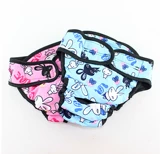 Golden Raom Labrado Medium Hard Dog Hantical Safety Bants