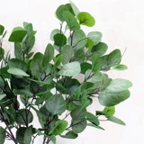 Моделирование 5 вилка мини -травяная листья яблока и ветви эудзиахуми денежные листья