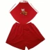 Màu đỏ sáng tạo quà tặng người lớn tạp dề nam in bông cung hoàng đạo năm sinh nữ thiết lập trang phục kích thước lớn - Bellyband
