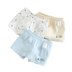 Đồ lót trẻ em trung niên, quần short nam, mùa hè, tươi, đồ lót bé trai, in góc phẳng, cotton bốn góc - Quần áo lót quần áo lót bé trai cao cấp Quần áo lót