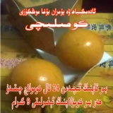 Ar L Arbor Ak Pantyhose Tara Xia не смущенная сцепление Komi ems ak ims ak спросил агар iphpa