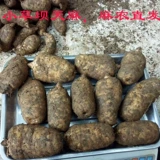 Yunnan Zhaotong Yiliang Xiaocaoba Gastrodia Products Ma Nong Прямые продажи имитация дикая свежая конопля головка головокружения 1 кг