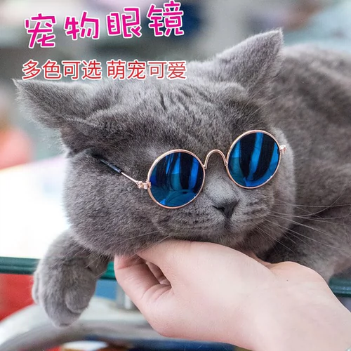Забавные солнцезащитные очки подходит для фотосессий, реквизит, аксессуар, кот, домашний питомец, популярно в интернете