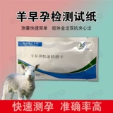 Beastbeat Testsing Testsing Paper Test Испытание на профилактику профилактики беременности и стабильный набор мочи приводит к моче