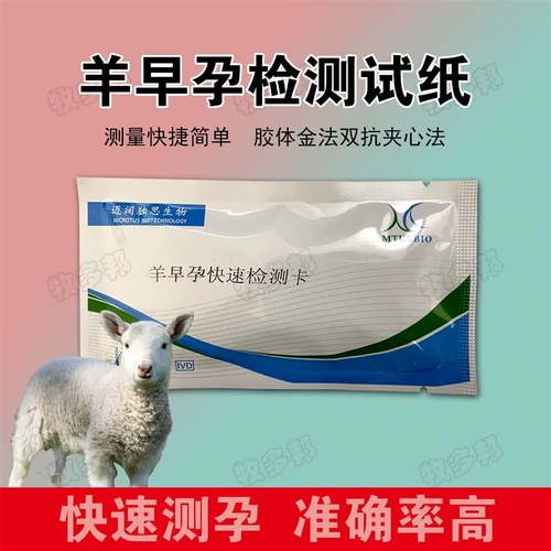 Beastbeat Testsing Testsing Paper Test Испытание на профилактику профилактики беременности и стабильный набор мочи приводит к моче