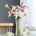 Bình hoa trồng bằng nước lớn có gân dọc bình hoa thủy tinh cao cắm hoa dài nhánh rộng miệng bình hoa Guanyin bình hoa - Vase / Bồn hoa & Kệ