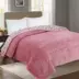 . Bốn mùa Chăn Crystal Velvet Tấm trải giường hai mặt Flannel Một mảnh Khăn trải giường dày hai mặt - Trải giường