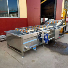 Цветы 真空食品包装袋清洗机价格大葱气泡清洗机制造商百香果清洗设备
