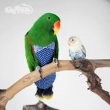 Моча птицы без мокрого попугая одежды Трехмерная регулировка дерьма карманная полета может быть очищена и повторно используется для бесплатной доставки Shentong Shentong
