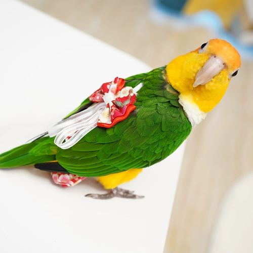 Пятая генерация горячая сбережения типа птичья одежда, водонепроницаемая моча, брюки -мочи навозь, навозное свалка, трехмерный большой летающий костюм с большой капочностью