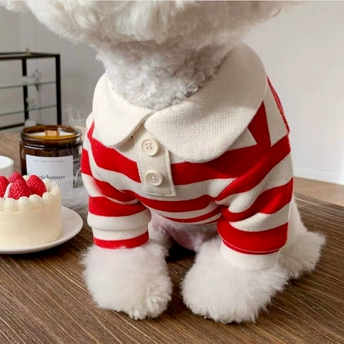 Рубашка для полосатых полосатых полоса