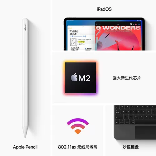 Apple/苹果 11 -inch iPad Pro (четвертое поколение)