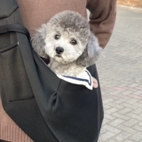 Сумка через плечо, рюкзак, шоппер, портативная сумка на одно плечо для выхода на улицу