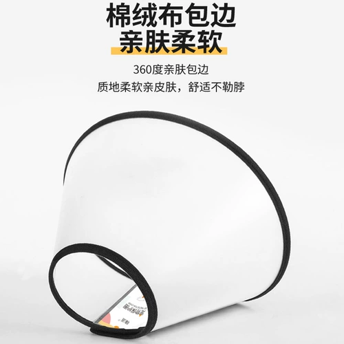 Элизабет Круг Кэт Корт Большой Шея Мягкие Лизать собаки Африканские Армос Большое размножение