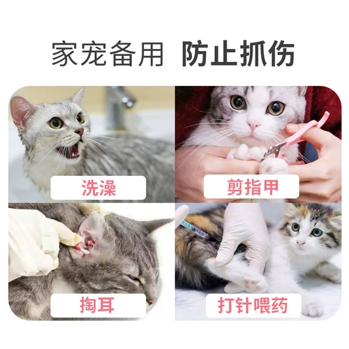 Кошачья крышка для ног против подчеркивающих кошачьи когтя
