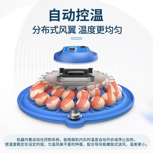 Инкубатор инкубатор небольшой дом интеллектуальный полностью автоматический хэтчбек машины попугай птичья яйцо мини -маленькая летающая тарелка