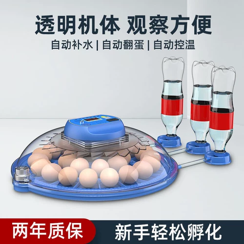 Инкубатор инкубатор небольшой дом интеллектуальный полностью автоматический хэтчбек машины попугай птичья яйцо мини -маленькая летающая тарелка